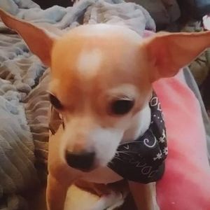 Meet your Posher, Tracey